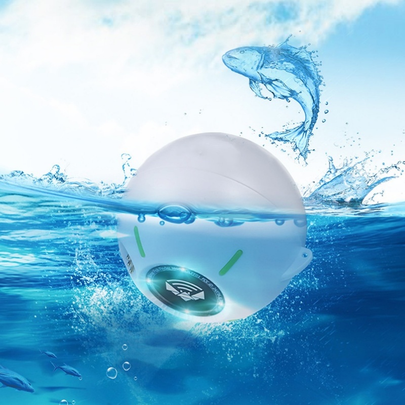 Smart Sonar Fish Finder 125KHz - đánh giá và giá Fishing Depth Finder